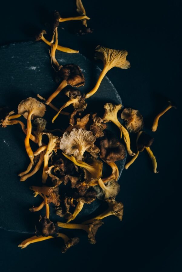 Cogumelo Shiitake desidratado